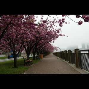 Meet your Posher, Derek